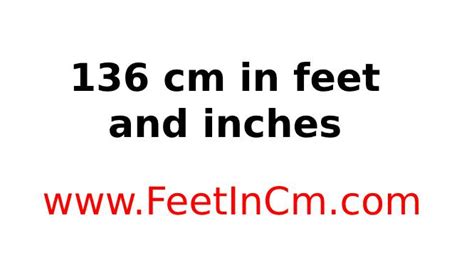 136 cm in feet|More.